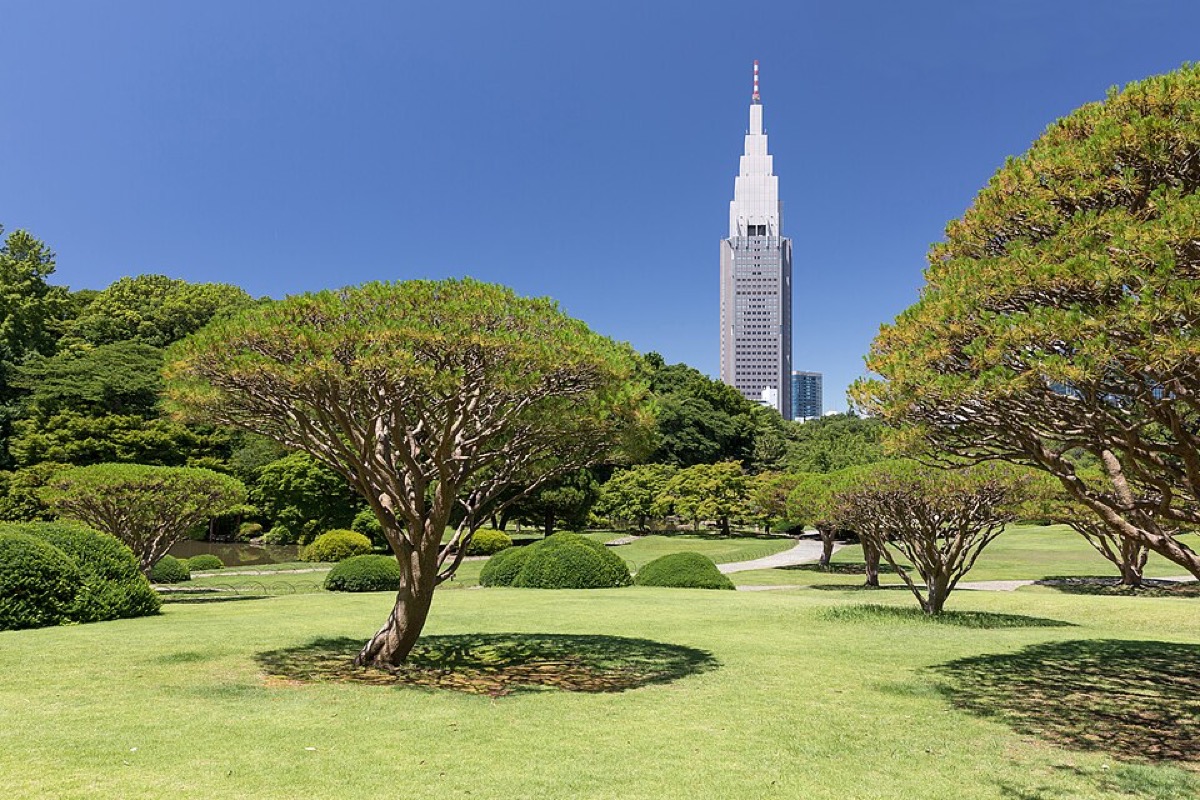 Shinjuku Gyoen and the Yoyogi skyline