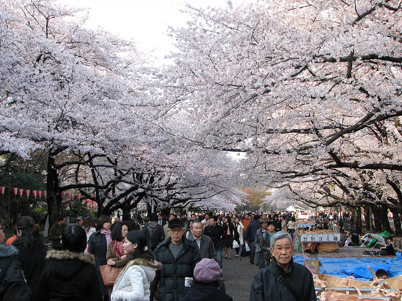 Ueno streetscape · not the restaurant