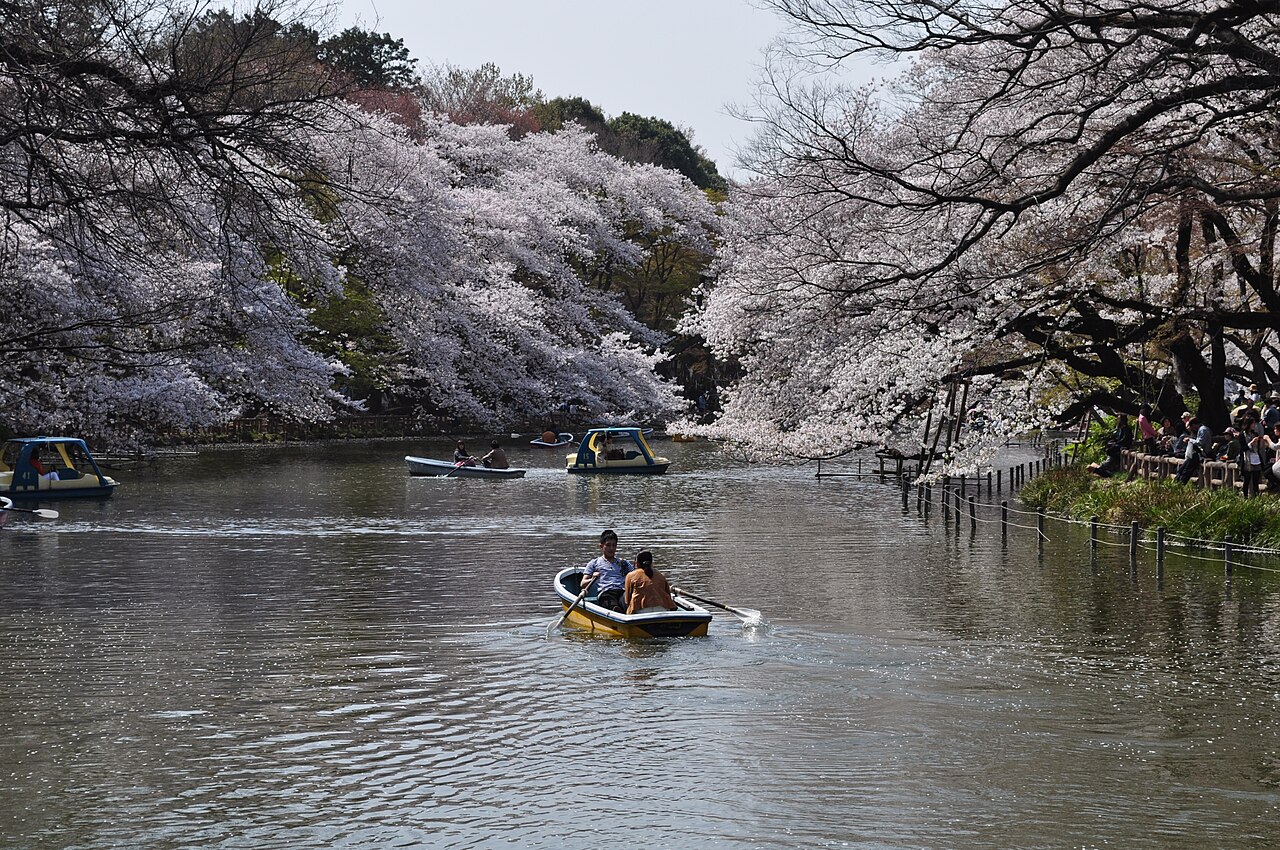 Inokashira Park
