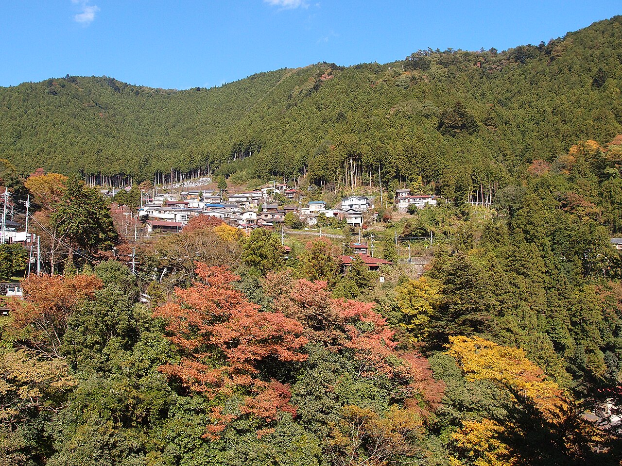 Ome / Okutama streetscape · not the restaurant